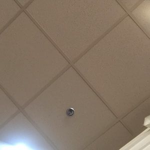 Meet your Posher, Bear